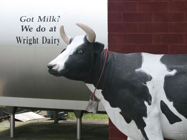 Wright Dairy Farms